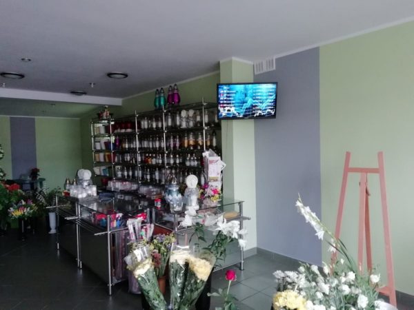 Kwiaciarnia Złocień