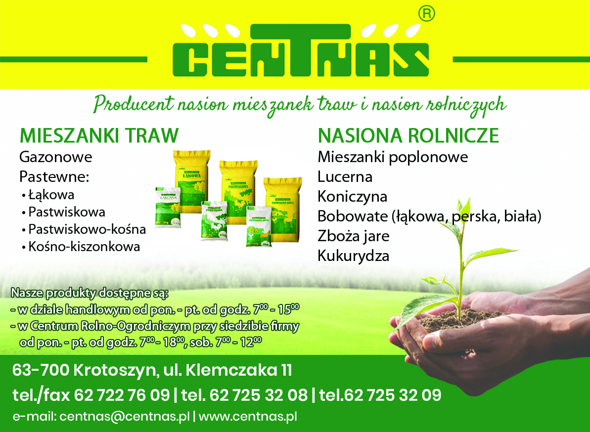 Centnas