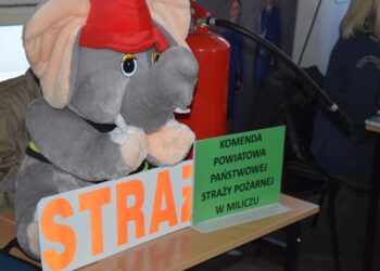 Możliwości kariery w służbach mundurowych