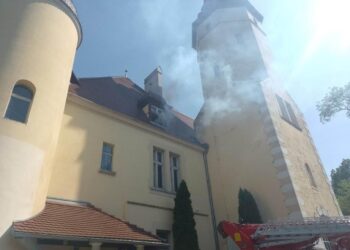 Strażacy ćwiczyli w Borzęciczkach