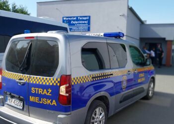 Kacza rodzinka uratowana!