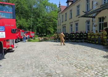 Strażacy ćwiczyli w Borzęciczkach