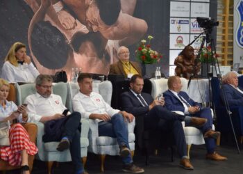 Wielkie emocje na dohyo w Krotoszynie