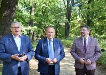 Z fotela burmistrza do sali sejmowej?