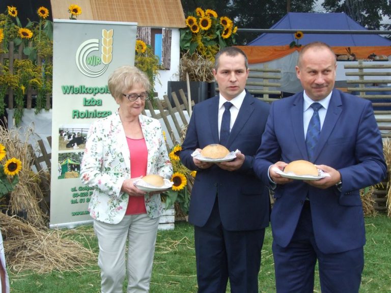 Powiatowe święto plonów w Lutogniewie
