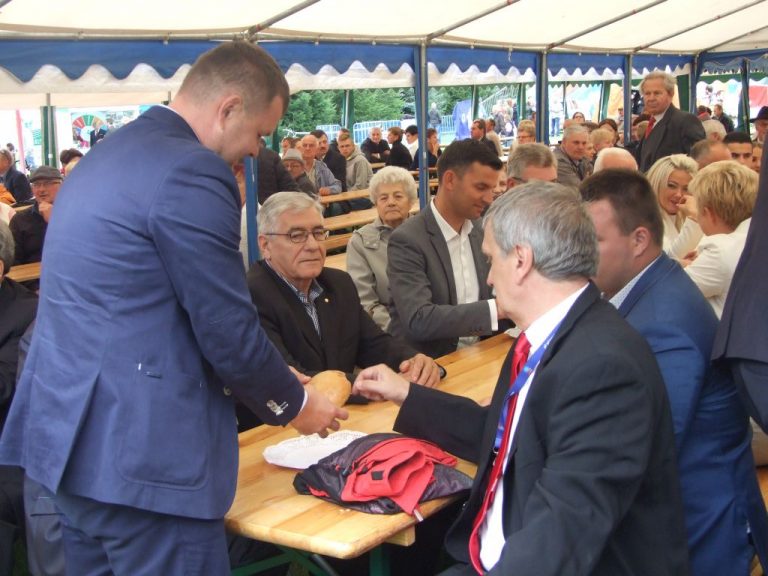 Powiatowe święto plonów w Lutogniewie