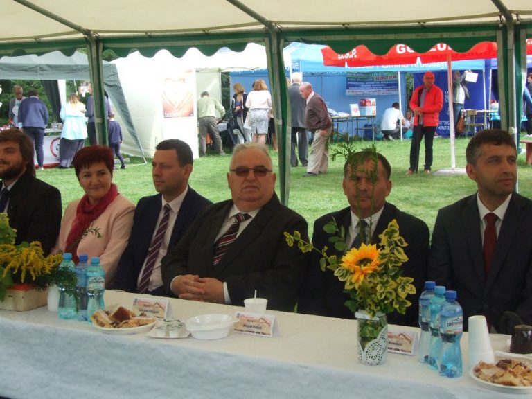 Powiatowe święto plonów w Lutogniewie