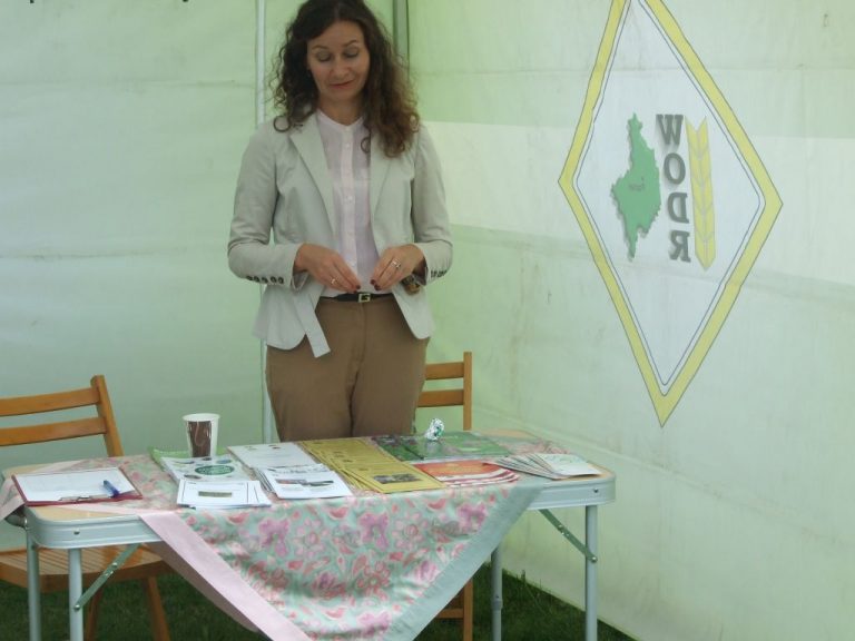 Powiatowe święto plonów w Lutogniewie