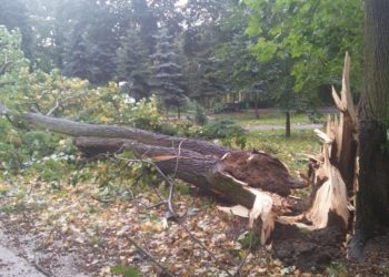 Od finału WOŚP do finału METAMORFOZY