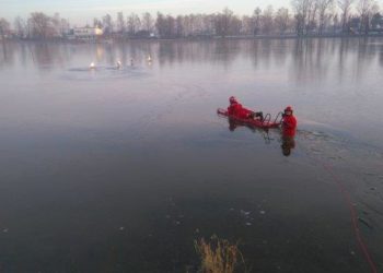 Ruszyli z pomocą dla łabędzi