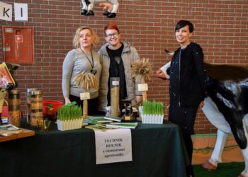 Targi rekrutacyjne na zamku