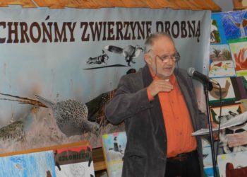 Chronimy zwierzynę drobną