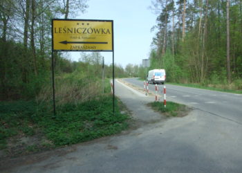 Krzewy ograniczają widoczność