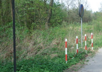 Krzewy ograniczają widoczność