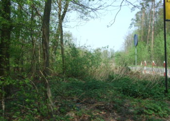 Krzewy ograniczają widoczność