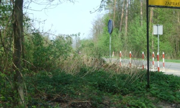 Krzewy ograniczają widoczność