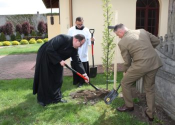 Posadzili drzewa na stulecie niepodległości