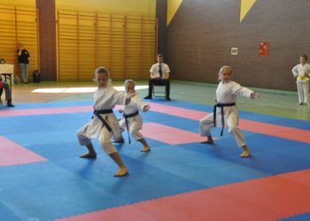 Shodan najlepszy w Koźminie