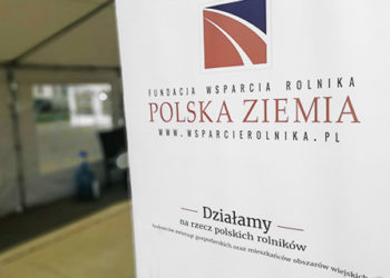 Dorośli dzieciom – festyn w Góreczkach