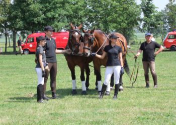 Zabytkowe sikawki w Rozdrażewie