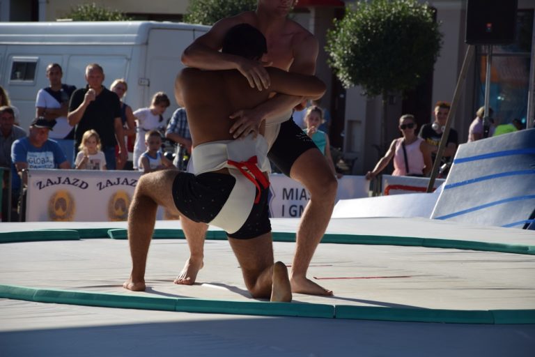 Europe Sumo Cup