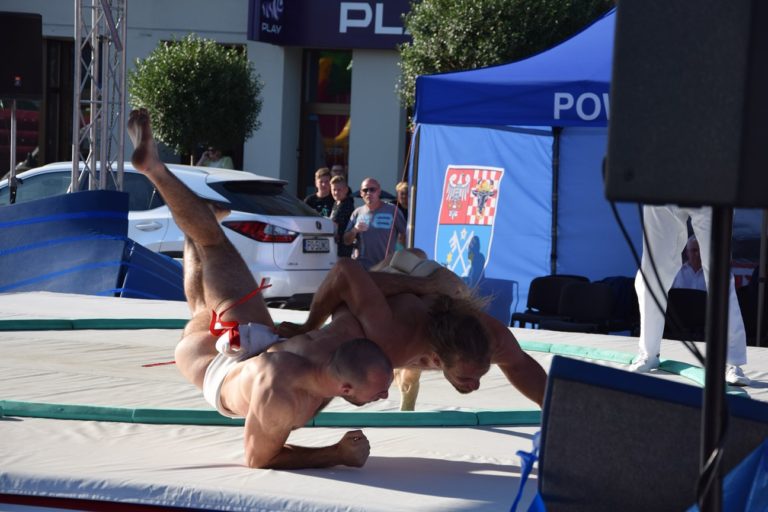 Europe Sumo Cup