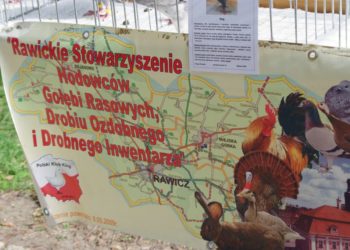 Święto Ziarna w Koźminie Wlkp.