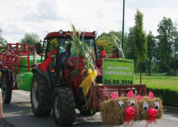 Święto plonów w Sulmierzycach