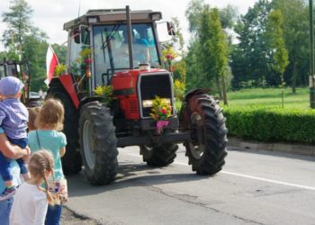 Święto plonów w Sulmierzycach