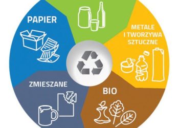 Jak segregować odpady – krok po kroku