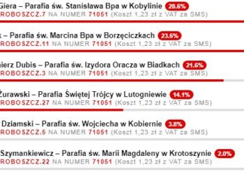 Plebiscyt na półmetku