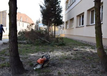 Przy bibliotece powstaje skwer D-O-M