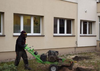 Przy bibliotece powstaje skwer D-O-M