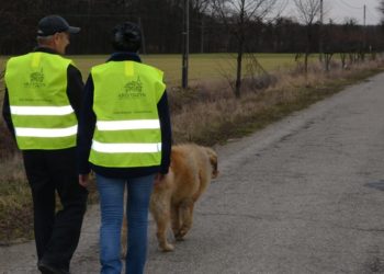 Bądźmy widoczni na drodze!