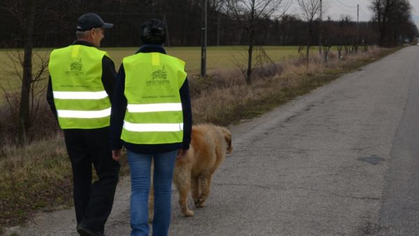 Bądźmy widoczni na drodze!
