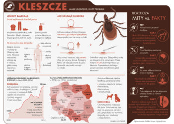 Jak przygotować się do wyprawy do lasu?