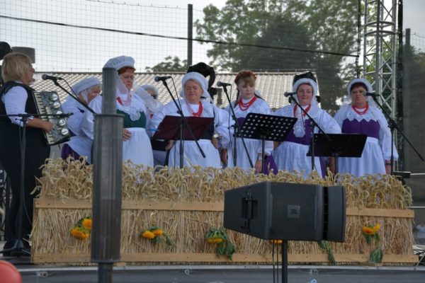 Norbi gwiazdą Dożynek Gminnych