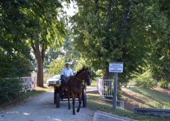 Dożynki w Lutogniewie