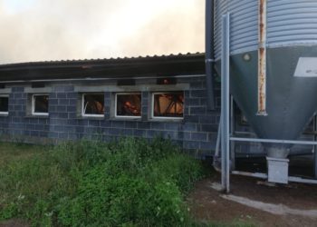 W Chwaliszewie spłonęło 700 świń
