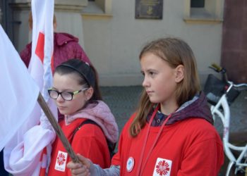 Miej serce dla serca!