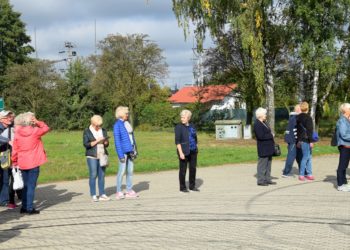 Miej serce dla serca!