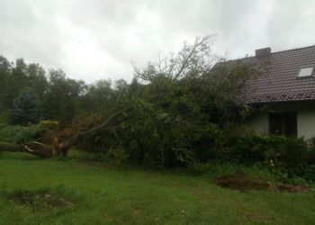 Strażacy mieli sporo pracy