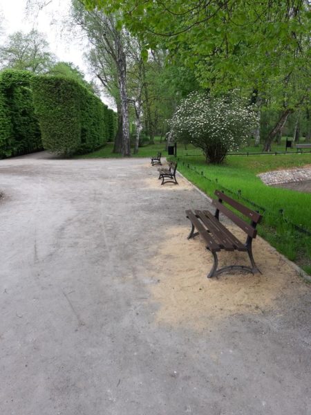 Wiosenna odnowa parku