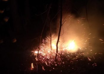 Kolejne pożary w lasach