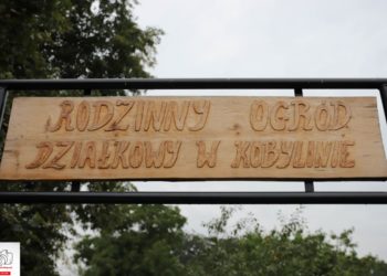 Ogródki działkowe otrzymały dotację