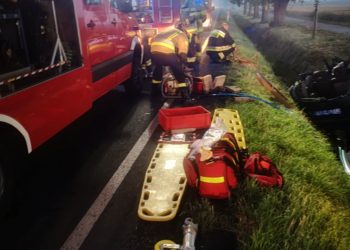 Samochód osobowy uderzył w drzewo