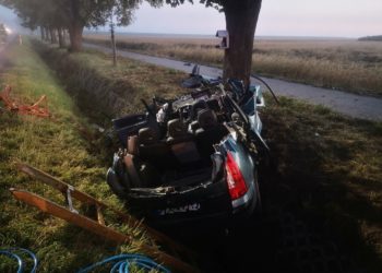 Samochód osobowy uderzył w drzewo