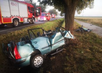 Samochód osobowy uderzył w drzewo