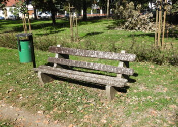 Park miejski – miejsce spotkań mieszkańców czy ptaków?