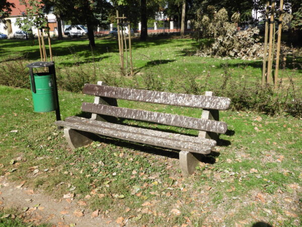 Park miejski – miejsce spotkań mieszkańców czy ptaków?